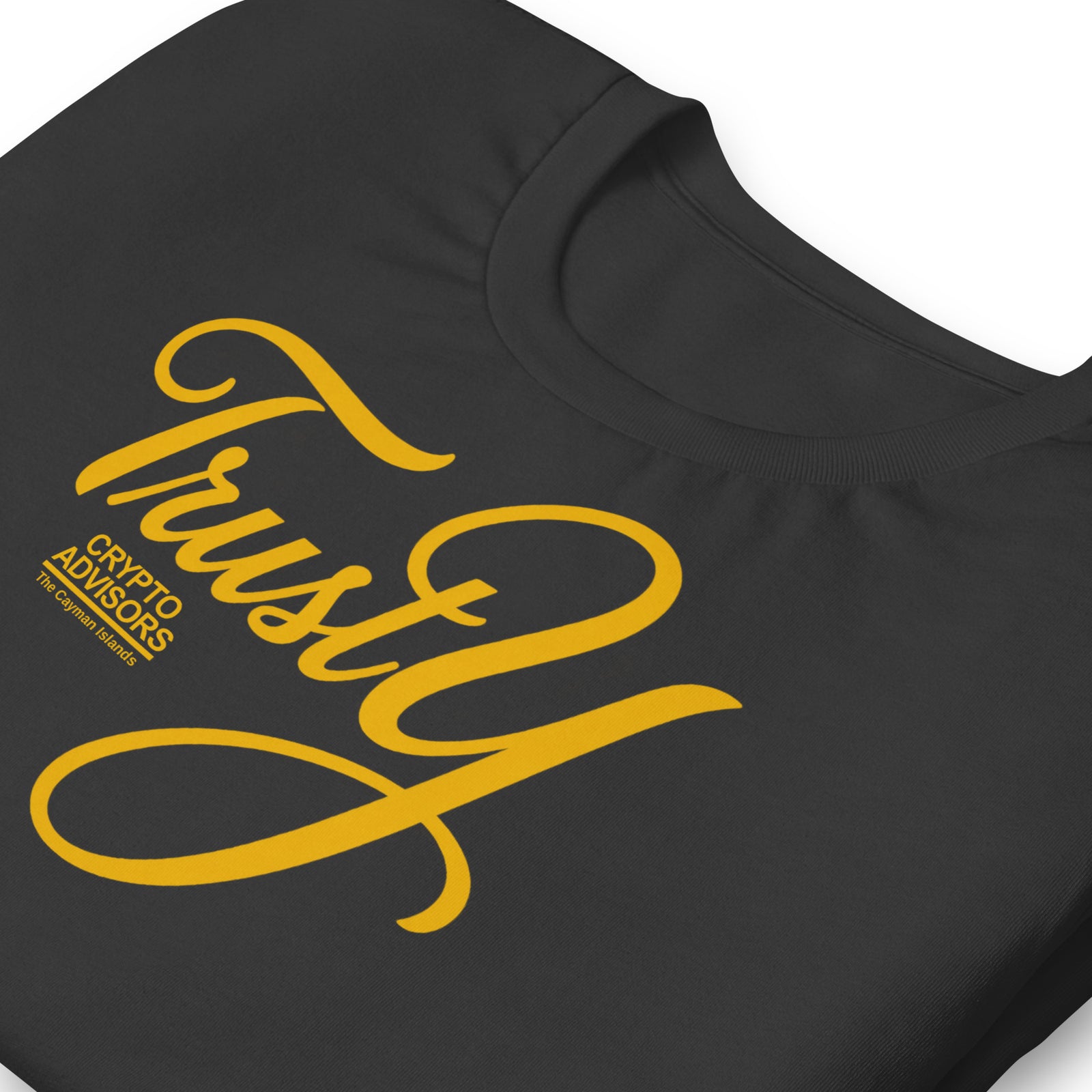 TrustY Crypto Advisors Cayman Islands Spoof T-Shirt Graphic Tee — view 4