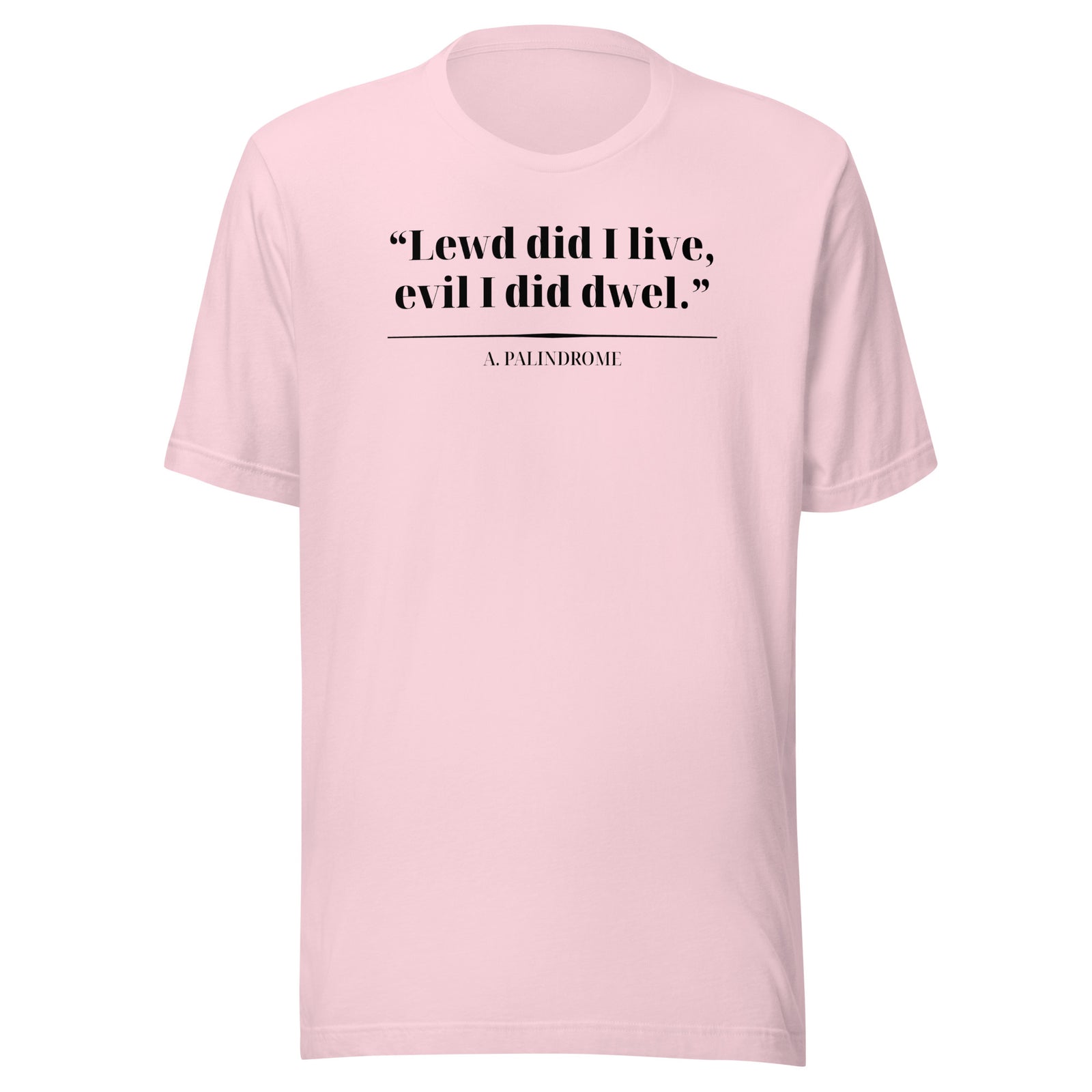 Product mockup Palindrome Literary Wordplay Tee — view 6
